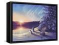 Framed Canvas