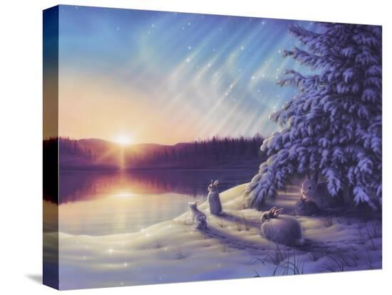 Stretched Canvas Print, , large