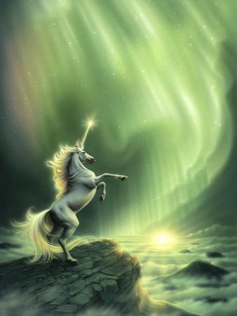 Reinert, Kirk Wall Art at AllPosters.com