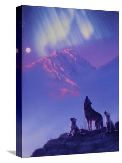 Stretched Canvas Print, , large