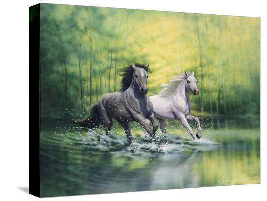 Stretched Canvas Print, , large
