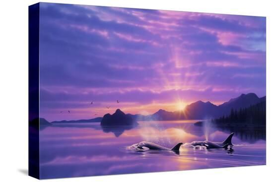 Stretched Canvas Print, , large