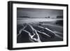 Kirkjufjara-Everlook Photography-Framed Photographic Print