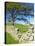 Kirkstone Pass, Lake District National Park, Cumbria, England, United Kingdom, Europe-Jeremy Lightfoot-Stretched Canvas