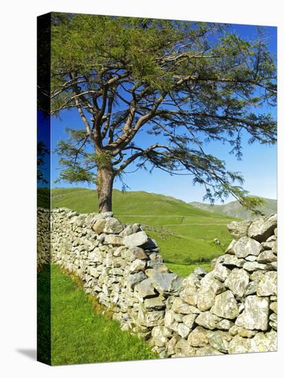 Kirkstone Pass, Lake District National Park, Cumbria, England, United Kingdom, Europe-Jeremy Lightfoot-Stretched Canvas