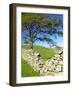 Kirkstone Pass, Lake District National Park, Cumbria, England, United Kingdom, Europe-Jeremy Lightfoot-Framed Photographic Print