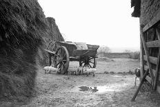 A Period Automobile Appears Stuck in the Mud, Ca. 1920.-Kirn Vintage Stock-Photographic Print