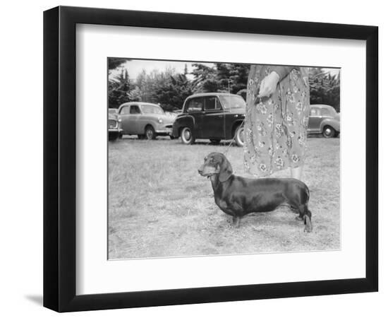 Premium Photographic Print, , large