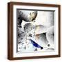 Brown Frame