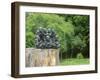 Kirstenbosch Botanical Gardens, Cape Town, South Africa-Fraser Hall-Framed Photographic Print