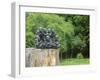 Kirstenbosch Botanical Gardens, Cape Town, South Africa-Fraser Hall-Framed Photographic Print