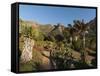 Kirstenbosch National Botanical Garden, Cape Town, South Africa, Africa-Sergio Pitamitz-Framed Stretched Canvas