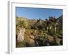 Kirstenbosch National Botanical Garden, Cape Town, South Africa, Africa-Sergio Pitamitz-Framed Photographic Print