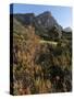 Kirstenbosch National Botanical Garden, Cape Town, South Africa, Africa-Sergio Pitamitz-Stretched Canvas