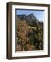 Kirstenbosch National Botanical Garden, Cape Town, South Africa, Africa-Sergio Pitamitz-Framed Photographic Print