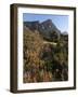 Kirstenbosch National Botanical Garden, Cape Town, South Africa, Africa-Sergio Pitamitz-Framed Photographic Print