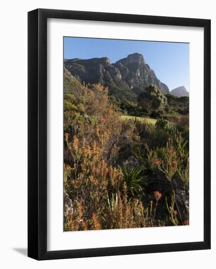 Kirstenbosch National Botanical Garden, Cape Town, South Africa, Africa-Sergio Pitamitz-Framed Photographic Print