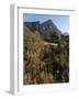 Kirstenbosch National Botanical Garden, Cape Town, South Africa, Africa-Sergio Pitamitz-Framed Photographic Print