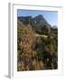 Kirstenbosch National Botanical Garden, Cape Town, South Africa, Africa-Sergio Pitamitz-Framed Photographic Print