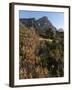 Kirstenbosch National Botanical Garden, Cape Town, South Africa, Africa-Sergio Pitamitz-Framed Photographic Print