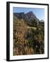 Kirstenbosch National Botanical Garden, Cape Town, South Africa, Africa-Sergio Pitamitz-Framed Photographic Print