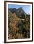 Kirstenbosch National Botanical Garden, Cape Town, South Africa, Africa-Sergio Pitamitz-Framed Photographic Print