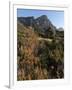 Kirstenbosch National Botanical Garden, Cape Town, South Africa, Africa-Sergio Pitamitz-Framed Photographic Print