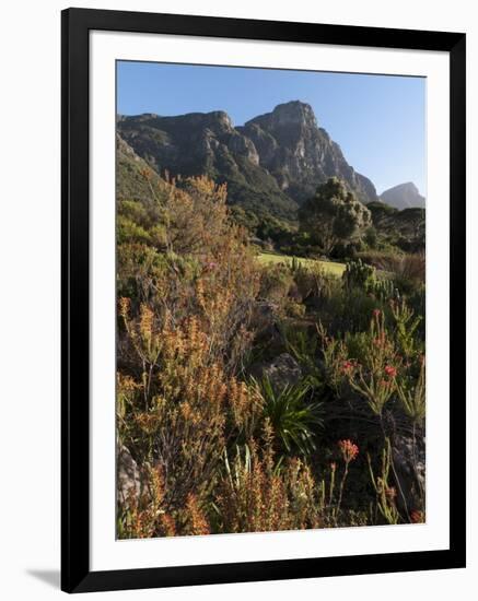 Kirstenbosch National Botanical Garden, Cape Town, South Africa, Africa-Sergio Pitamitz-Framed Photographic Print