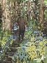 Laminate