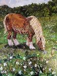 Hillside Horse-Kirstie Adamson-Giclee Print