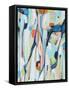 Framed Canvas