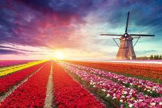 Windmill at Sunrise in Netherlands. Traditional Dutch Windmill, Green Grass, Fence against Colorful-Kishivan-Stretched Canvas