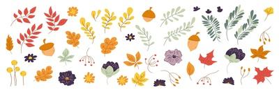Ig Doodle Set of Hand Drawn Autumn Floral Design Elements. Fall Elements Leaves, Flowers on White B-Kislinka-Photographic Print