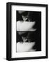 Kiss, c.1963-Andy Warhol-Framed Art Print