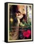 Kiss Me Like You Did-Cathy Cute-Framed Stretched Canvas