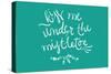 Kiss me under the mistletoe-Lantern Press-Stretched Canvas