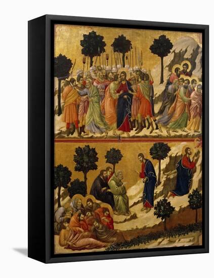 Kiss of Judas, and Prayer on Mount of Olives-Duccio Di buoninsegna-Framed Stretched Canvas