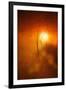 Kiss of Light-Philippe Sainte-Laudy-Framed Premium Photographic Print