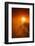 Kiss of Light-Philippe Sainte-Laudy-Framed Photographic Print