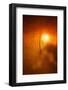 Kiss of Light-Philippe Sainte-Laudy-Framed Photographic Print