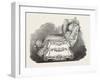 Kissell, of Bordeaux, Invalid Chair-null-Framed Giclee Print