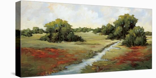 Kissimmee Grasslands-Maija Baynes-Stretched Canvas