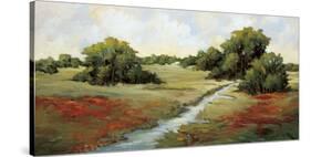 Kissimmee Grasslands-Maija Baynes-Stretched Canvas