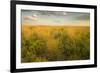 Kissimmee Preserve State Park, Florida-Maresa Pryor-Framed Photographic Print