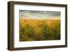 Kissimmee Preserve State Park, Florida-Maresa Pryor-Framed Photographic Print