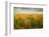 Kissimmee Preserve State Park, Florida-Maresa Pryor-Framed Photographic Print