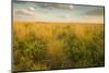 Kissimmee Preserve State Park, Florida-Maresa Pryor-Mounted Photographic Print