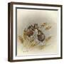 Kissin' Cousins-Peggy Harris-Framed Giclee Print