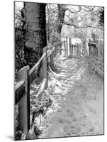Kissing Gate in the Snow-null-Mounted Photographic Print