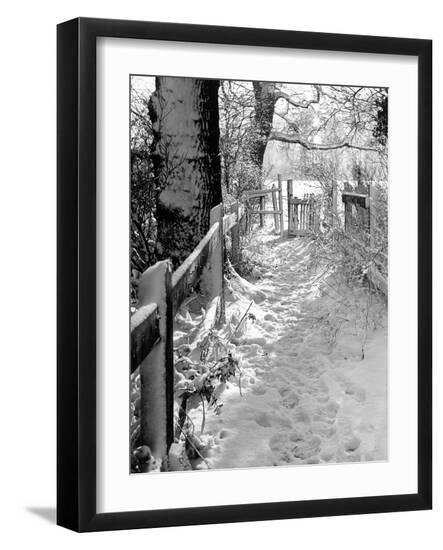 Premium Photographic Print, , large
